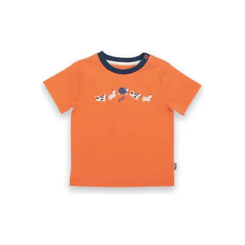 Kite Farm Fun T-Shirt